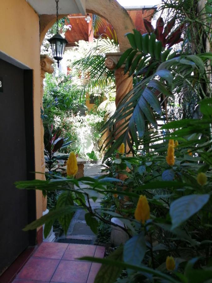 אנטיגואה גואטמלה Hotel Internacional Guest House מראה חיצוני תמונה