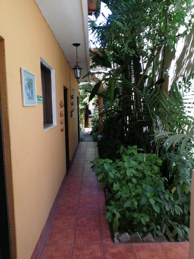 אנטיגואה גואטמלה Hotel Internacional Guest House מראה חיצוני תמונה